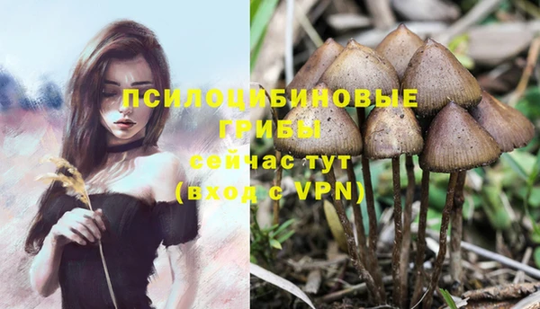 крисы Балабаново
