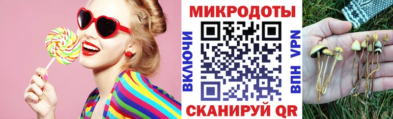 гидра tor  Похвистнево  Псилоцибиновые грибы ЛСД  наркота 